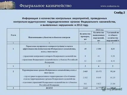 Казначейство аудит