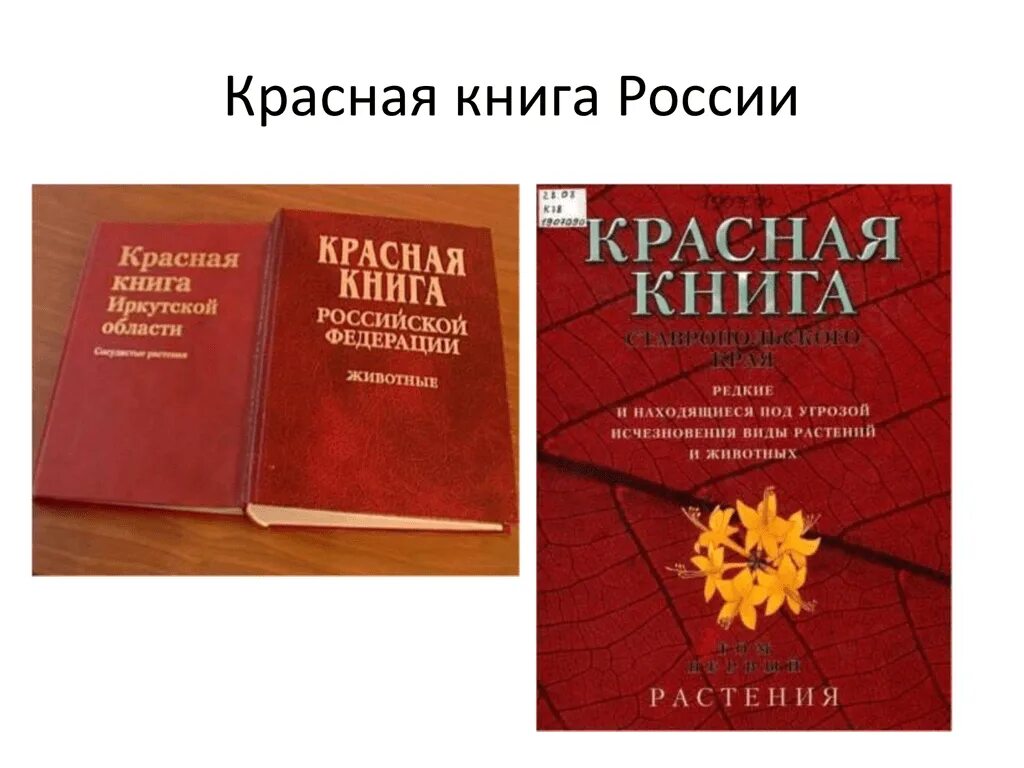 Книга о россии 4 класс. Красная книга России. Красная книга РФ. Krassnaya kniqa. Красный.