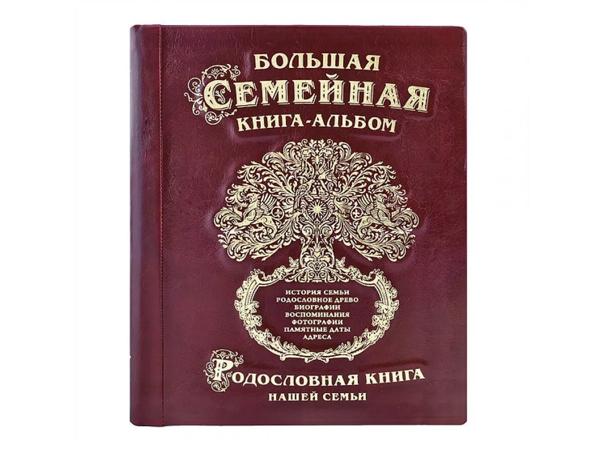 Книга истории рода. Родословная книга в подарок. Семейная книга. Родословная книга семьи. Большая семейная книга-альбом.