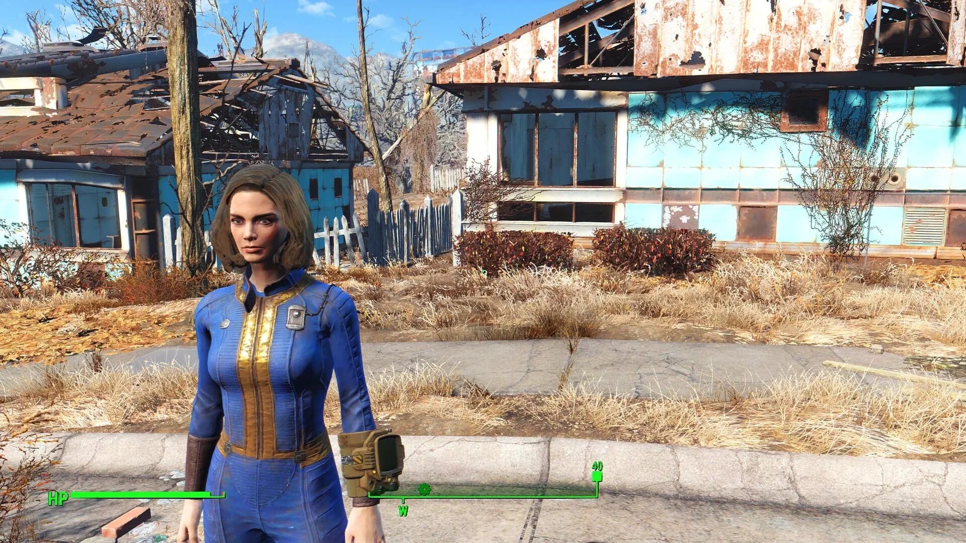 Fallout 4 fast. Фоллаут 4 женский персонаж. фоллаут 4 персонажи девушки. fallout 4 насос мэй. fallout 4 протагонист.