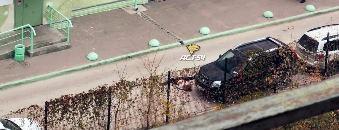 Вид с 9 этажа. 2022. Девушка выпрыгнула из окна в новосибирске. Новости новосибирска. 10.