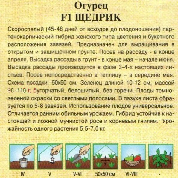 Семена Огурца ГАВРИШ Щедрик 10 шт - цена в Набережных Челнах, купить в интернет-
