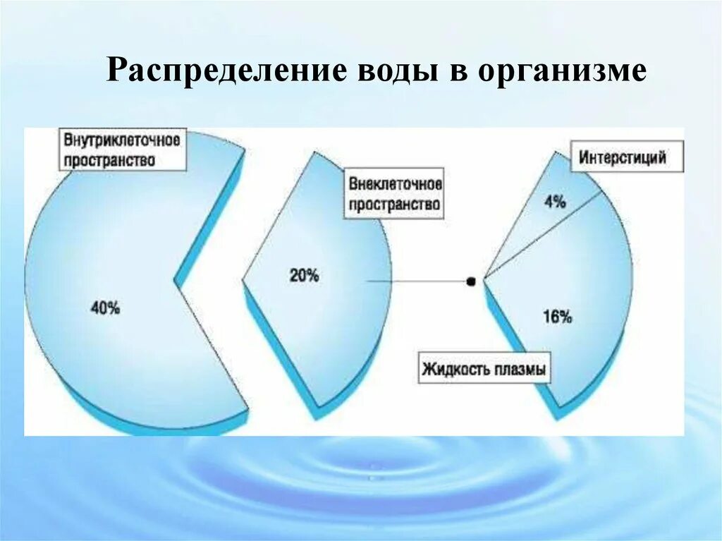 Перераспределение воды в организме. Распределение жидкости в организме. Распределение воды в организме человека. Водные сектора организма. Водные пространства организма физиология.