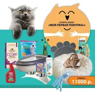 Что нужно для котенка