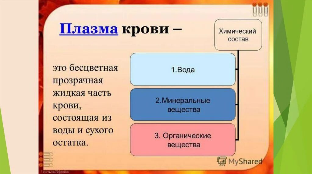 Плазма определение состав. Плазма определение состав