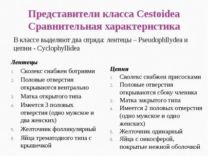 Представители 4 пола