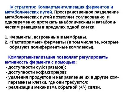 Метаболизм ферментов