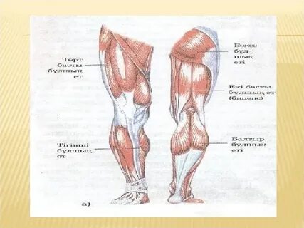 Қызы әкесінің мүшесін жақсы көреді watch online