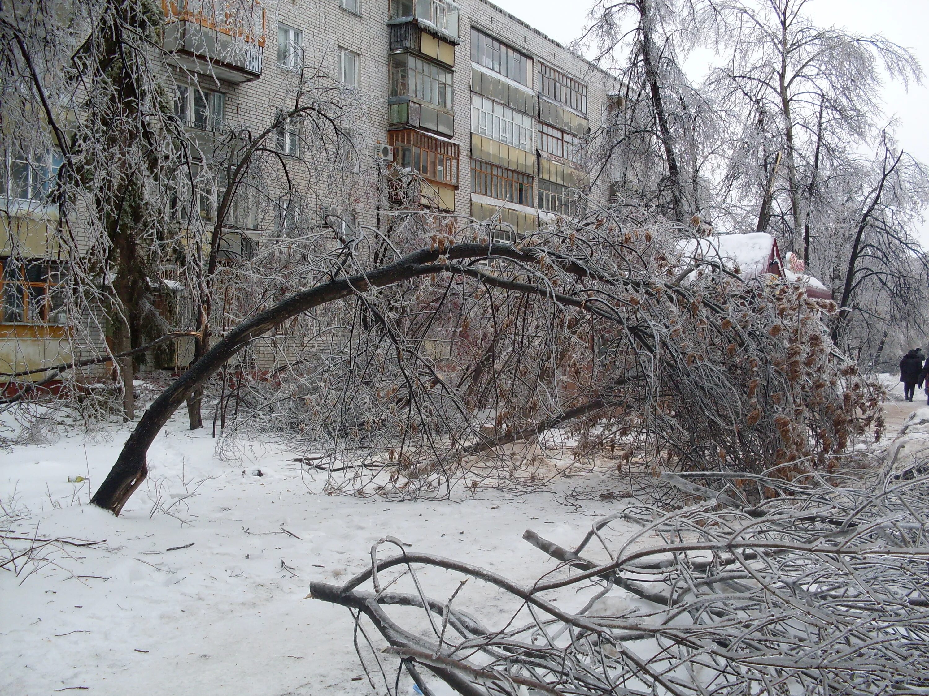 Где был сильный ветер. Ледяной дождь в Москве 2010. 2010 Год, декабрь. Ледяной дождь в России. Ледяной дождь Димитровград. Ледяной дождь в Москве в 2010 году.