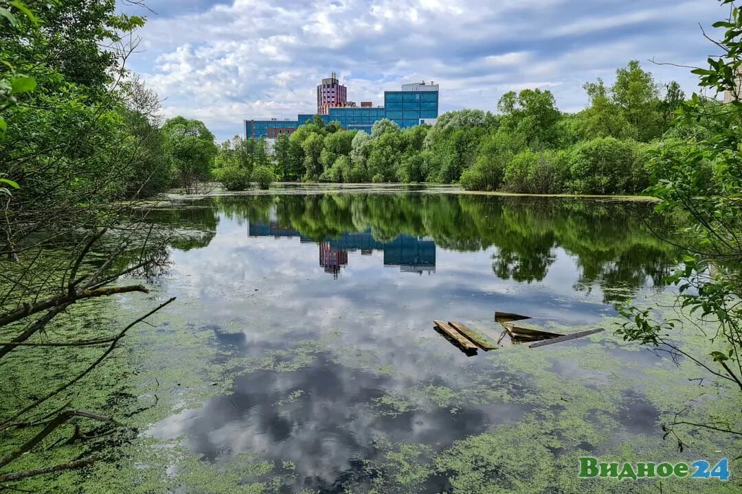 Жуковский лесопарк Видное. Битцевское озеро Видное. Пруды Битцевского парка. Ермолинский лесопарк Видное. Город видное реки