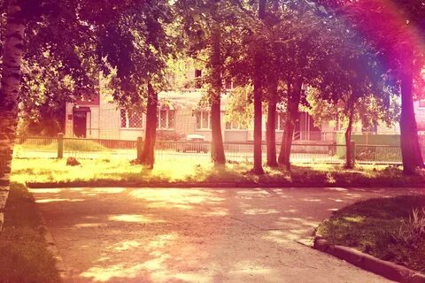 Школьный двор