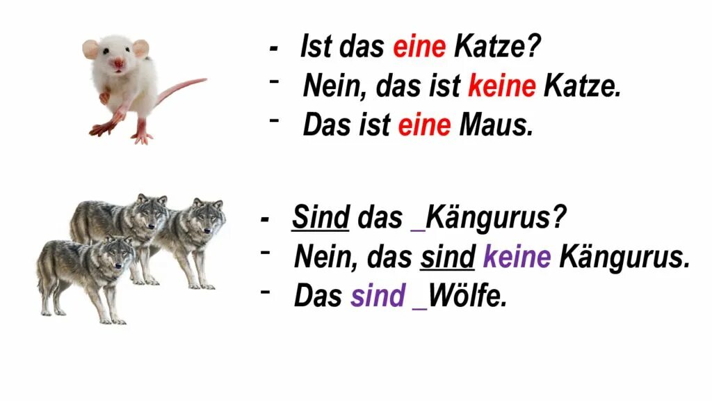 Ist das katze. Katze по немецки. заполни таблицу die maus der wolf der tiger. die tiere презентация. заполни таблицу artikel die maus nominativ eine maus.