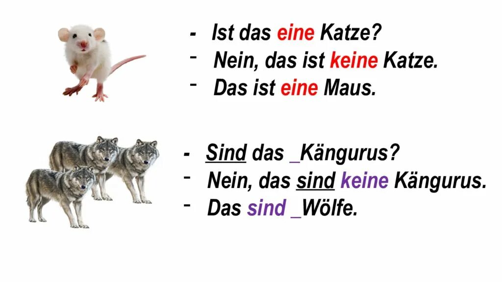 5 ist eine. Katze по немецки. Заполни таблицу die Maus der Wolf der Tiger. Die Tiere презентация. Заполни таблицу Artikel die Maus Nominativ eine Maus.