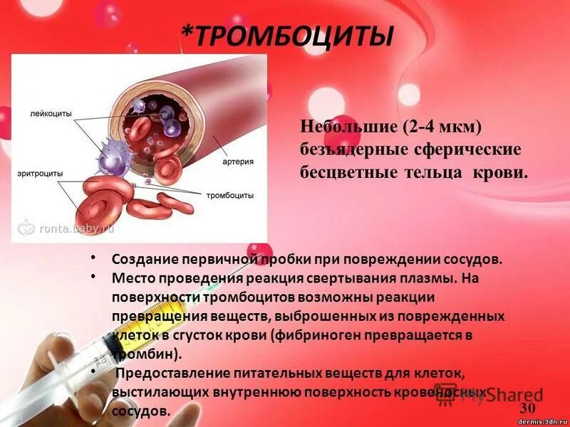 Сколько можно сдавать тромбоциты. Тромбоциты. Тромбоциты снижены. Тромбоциты в крови. Увеличение тромбоцитов.