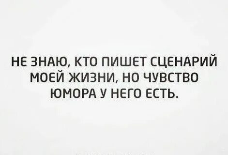 Сценарий написанный жизнью