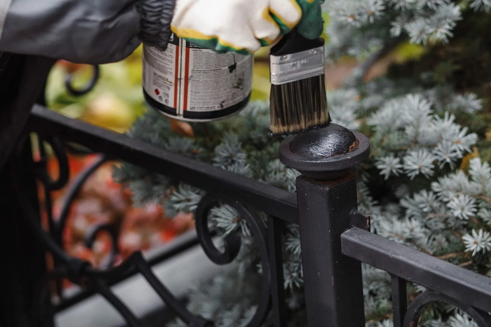 Краска для ограды. Окрашенная металлическая ограда. Покраска ограды. Краска для оградок по металлу.