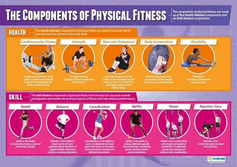 Health and fitness are. Physical health components. physical activity posters. education and physical activity. body components.