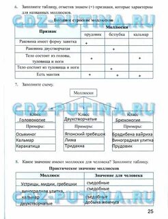 Заполни таблицу отмечать отметить
