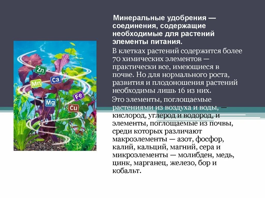 Минеральное питание растений удобрения. Растения и Минеральные элементы. Элементы необходимые растениям. Минеральные вещества для растений.