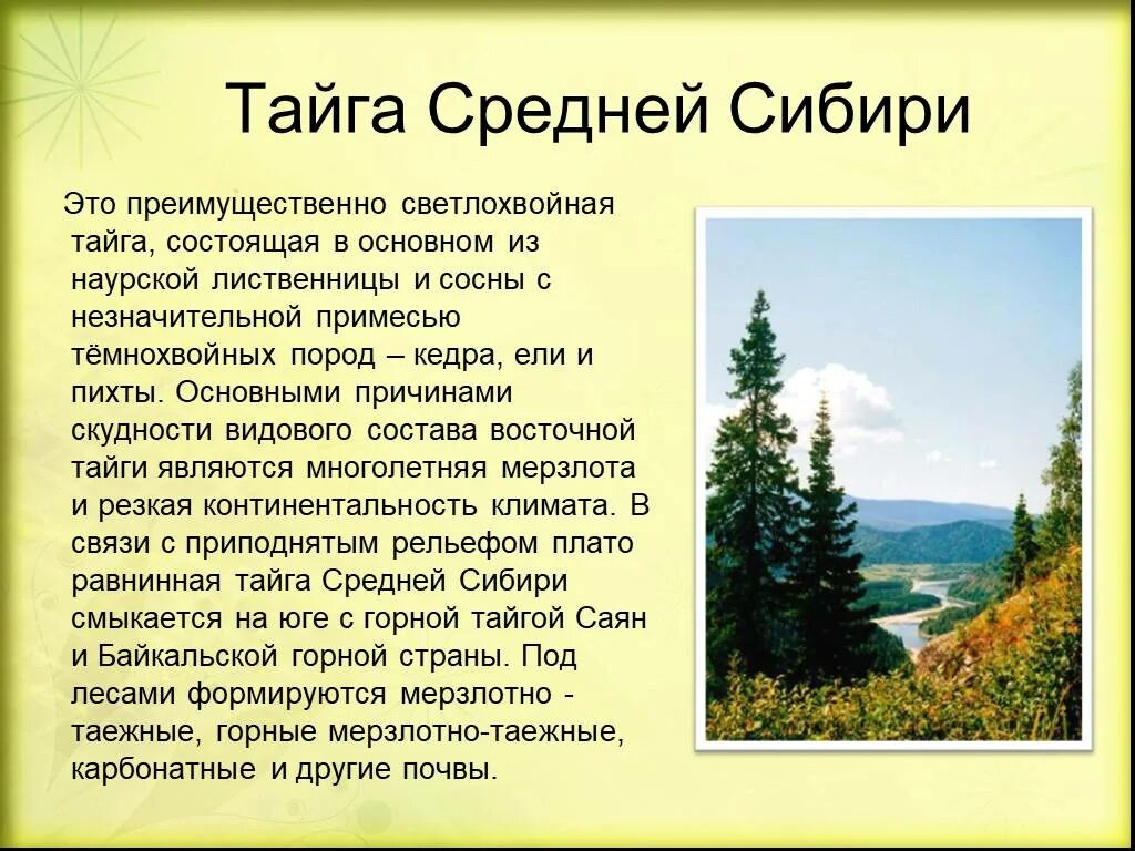 Какие особенности природы сибири зависят от обширности