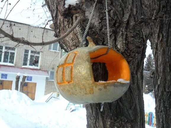 Кормушка для птиц из тыквы своими руками. Кормушка из тыквы. кормушка из тыквы для птиц. кормушка из тыквы для птиц своими. съедобная кормушка из тыквы.