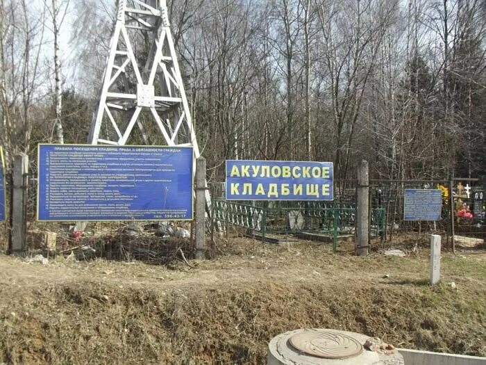 Красивое кладбище. Современное кладбище. Алтуфьевское кладбище москва. Кладбище дубки. Польское кладбище могилев.