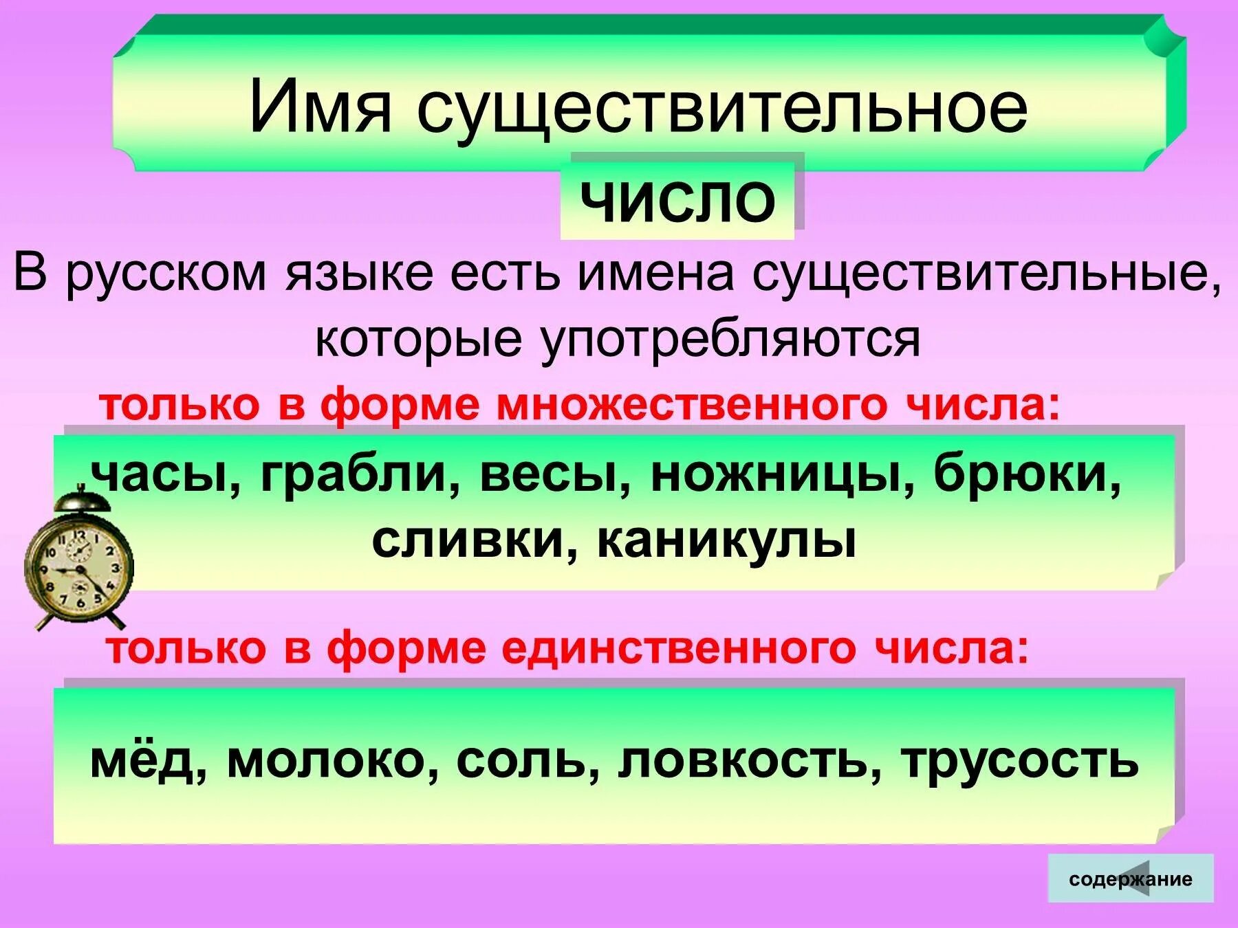 Слово зеленый это имя существительное. Чимслоимен существительных. Число имен существительных. Имена существительные единственного и множественного числа. Числа имен существительных в русском языке.