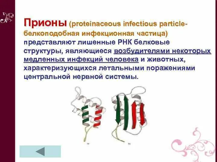 Лишить представить
