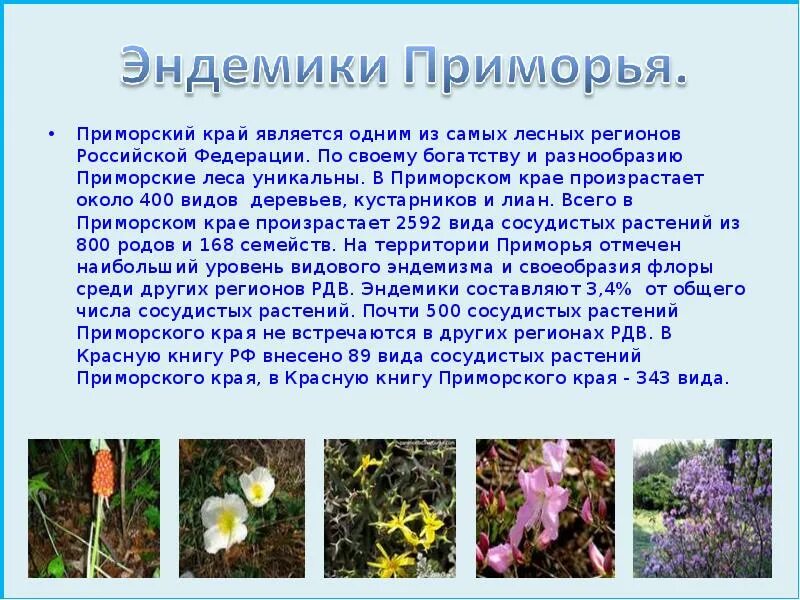 Разнообразие природы родного края