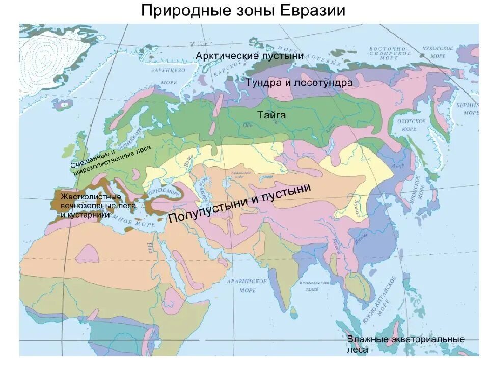 Карта природных зон Евразии. Атлас 7 класс география Евразия природные зоны. Карта природные зоны Евразии 7 класс география. Природные зоны материка Евразия. В каких природных зонах расположена евразия