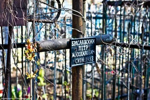 Могилы ульяновск