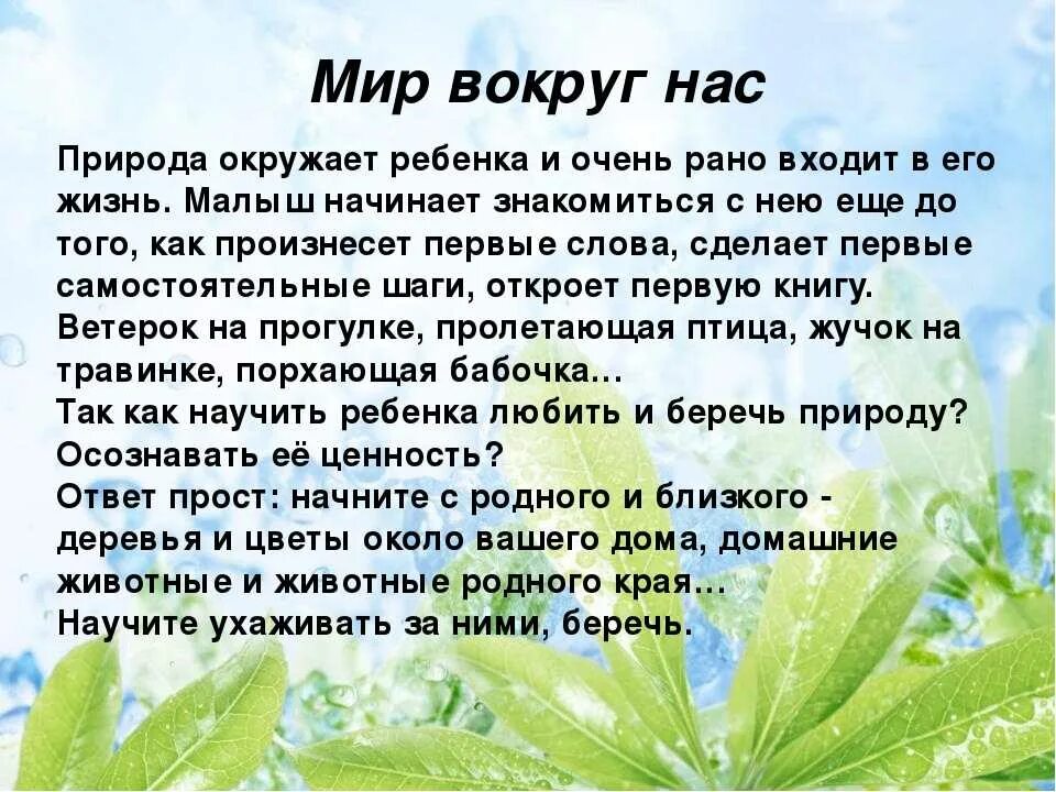 Мир вокруг нас эссе. Сочинение на тему мир вокруг нас. Доклад на тему природа вокруг нас. Сочинение о природе.