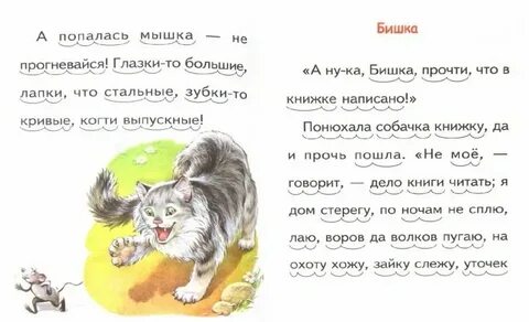 Текст про ваську