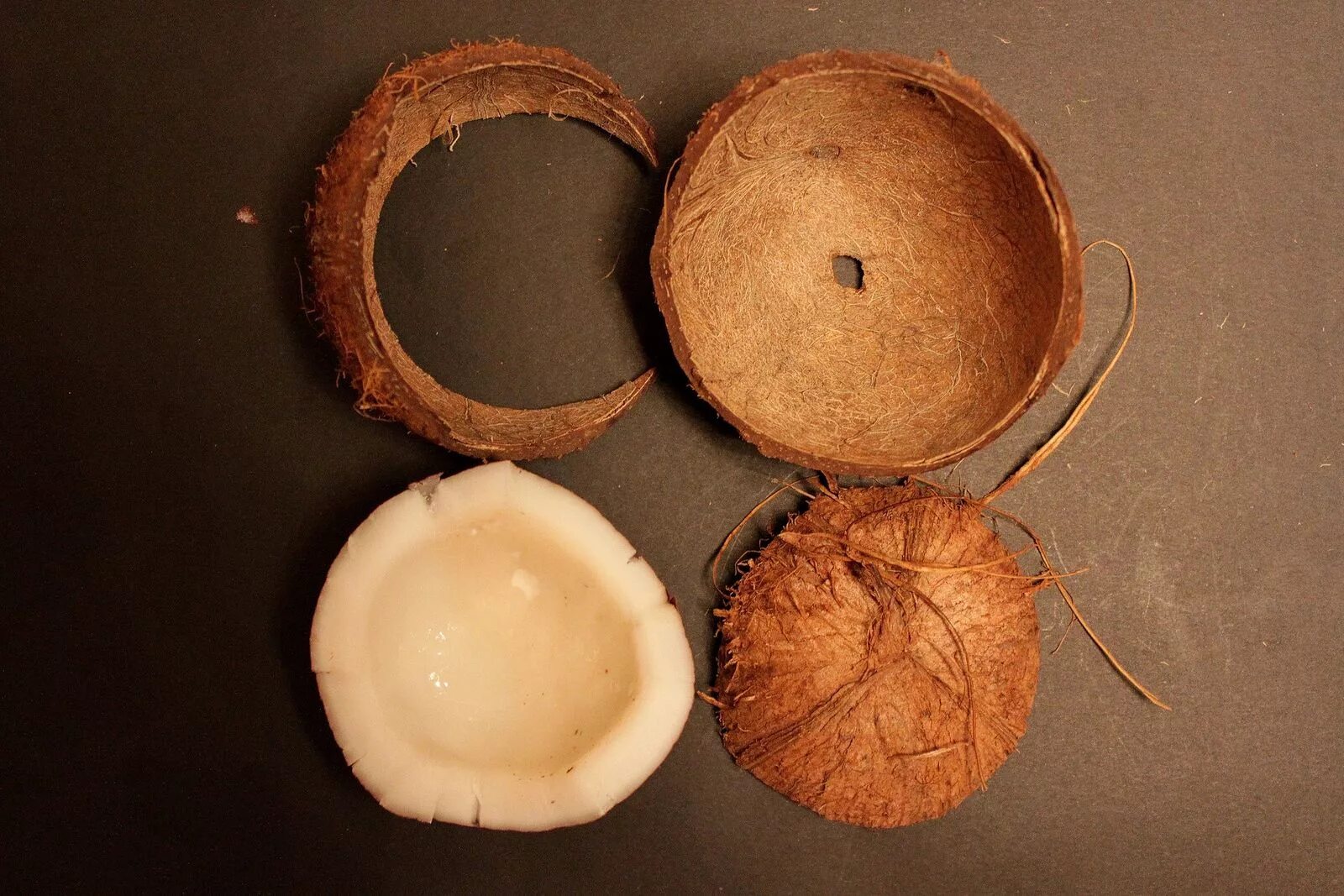 кожура кокоса. скорлупа от кокоса. кокос зеленый. кокос в кожуре. кожура кокоса.