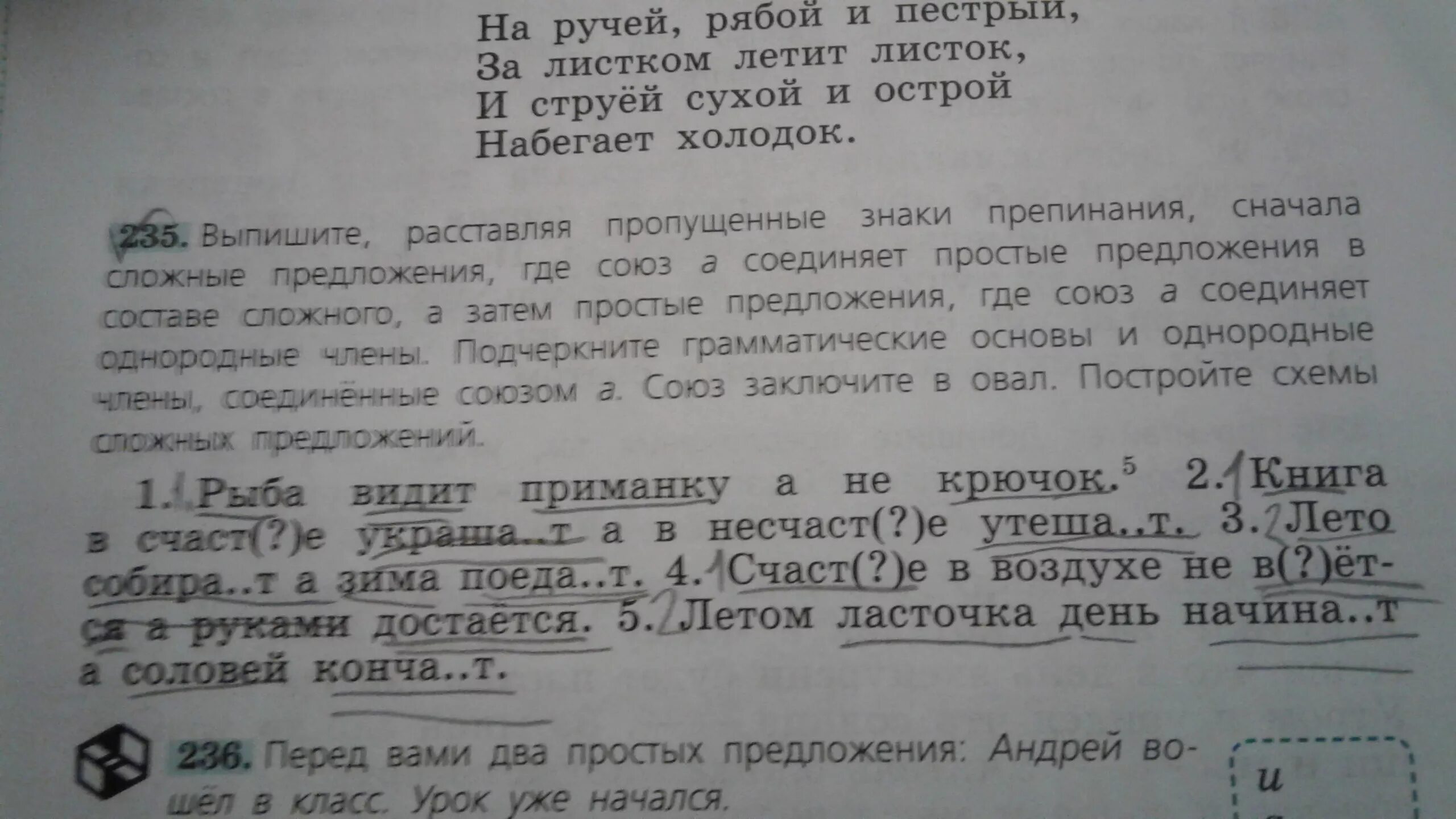 Русский язык 5 класс рыб. Русский расставьте пропущенные знаки препинания. Выпишите расставляя пропущенные знаки. Русский язык 5 класс номер 235.