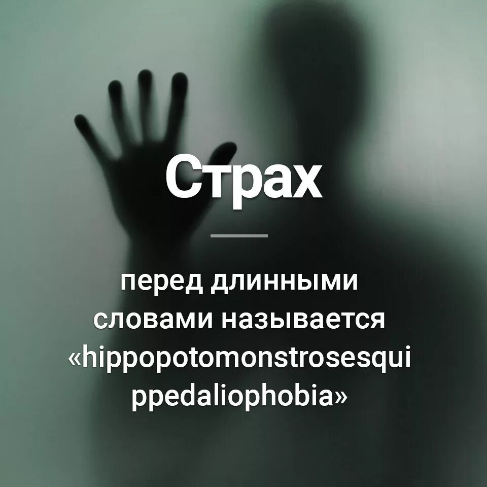Как называется боязнь длинных. Боязнь длинных слов. фобия боязнь длинных слов название. боязнь длинного текста. страх длинных слов название.
