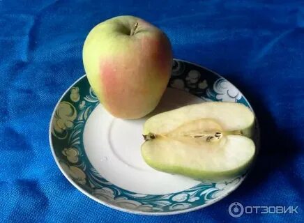 Памяти есаула яблоня описание