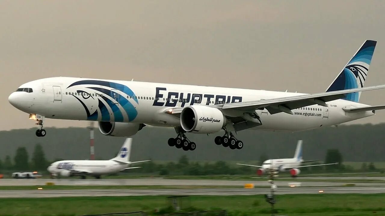 Самолетом москва каир. MS 730 EGYPTAIR. MS 729 EGYPTAIR. Каир Москва EGYPTAIR. EGYPTAIR рейс Москва Каир.