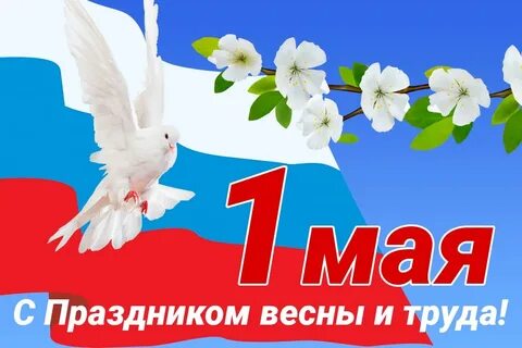 1 5 мая праздник