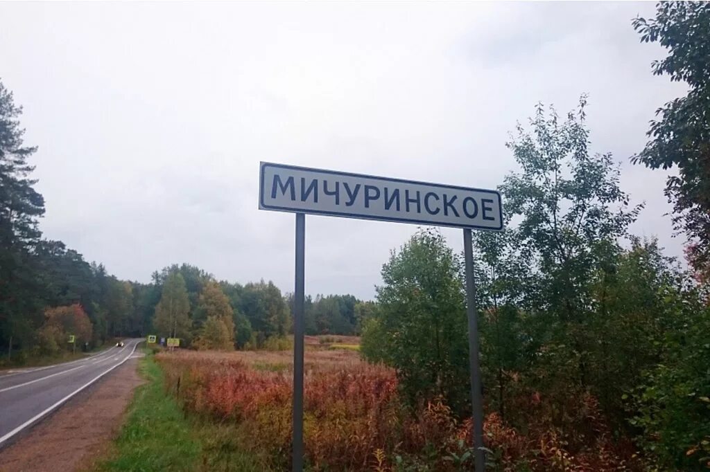 Погода лен обл поселок. Ленинградская область приозерский район поселок мичуринское. мичуринск ленинградская область. поселок мичуринский. мичуринское поселение.