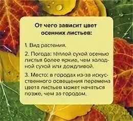 Чем можно объяснить изменение окраски листьев осенью