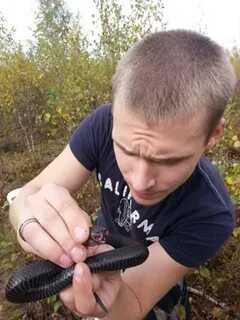 Николаевский ванек