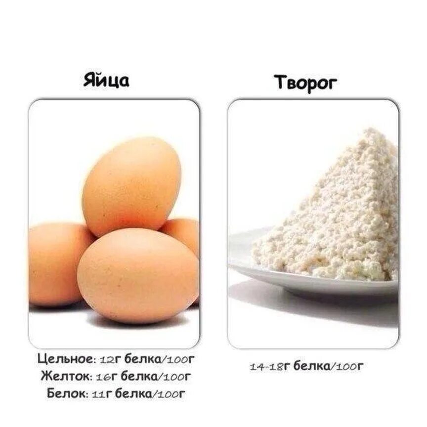 Кусочек сыра на тарелке. 100 г яиц. Яйцо с жидким желтком. 100 г яиц. Содержание белка в яичном белке.