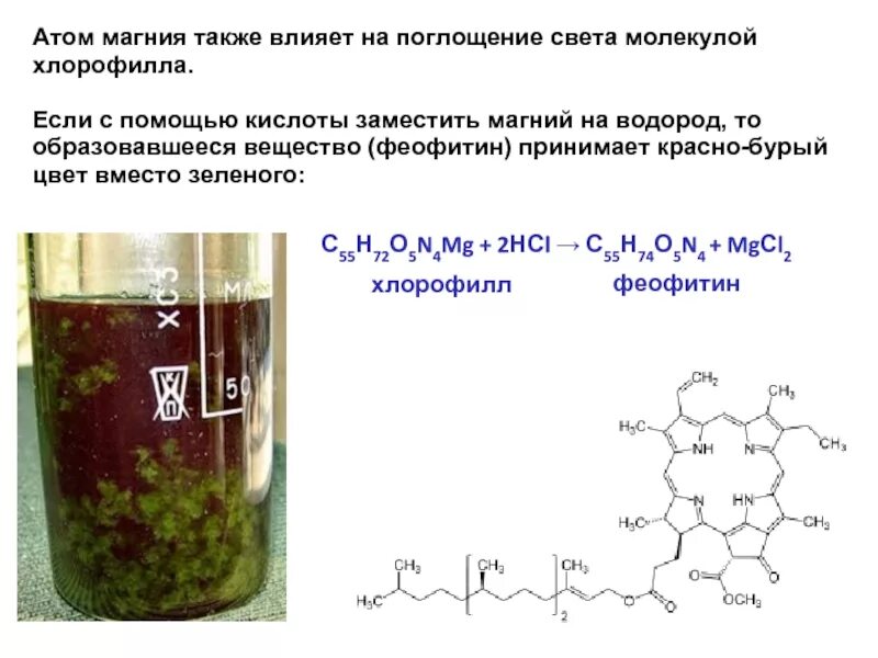 Реакция цинк и раствор соляной кислоты