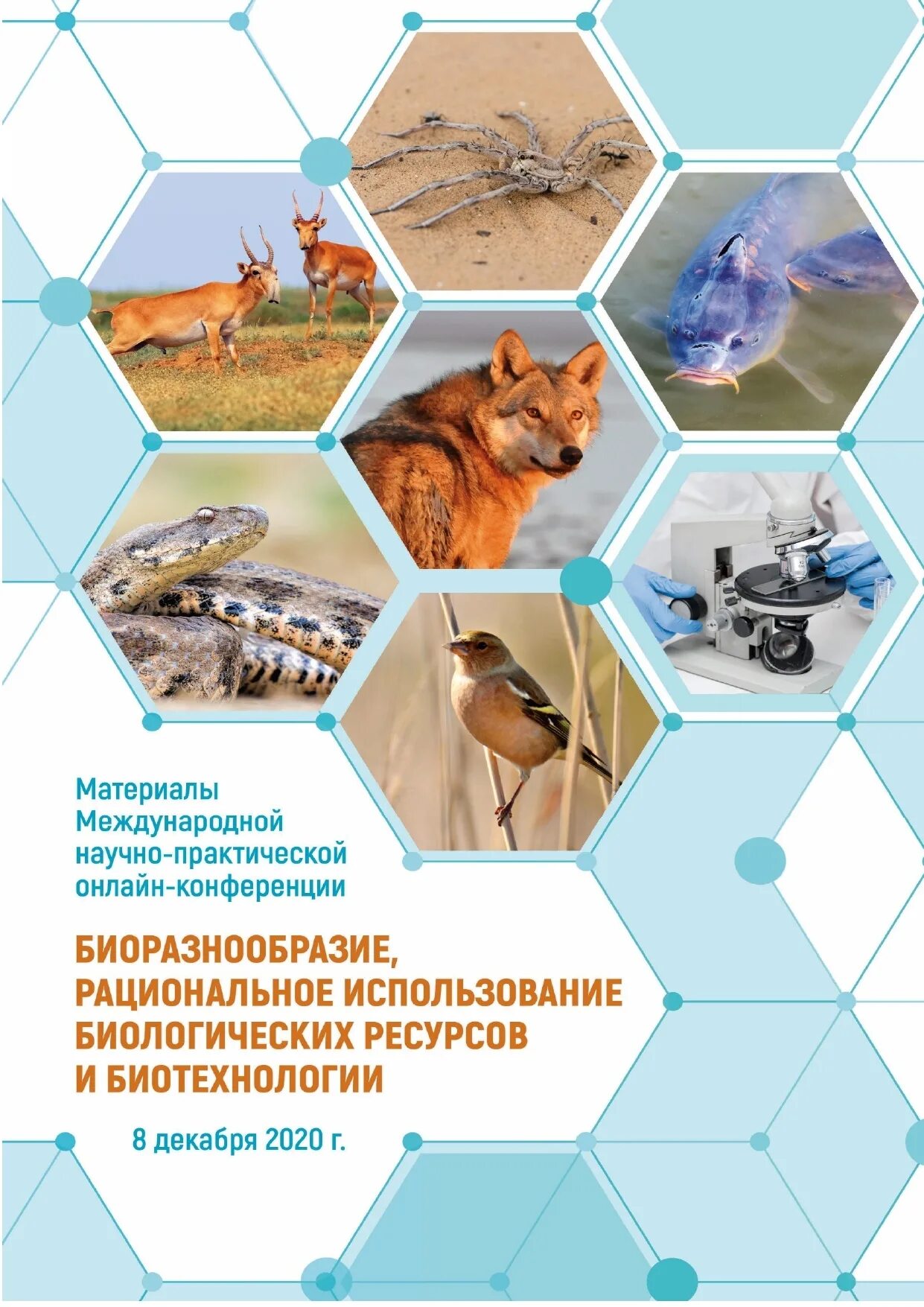Область использования биологии. Биоразнообразие. рациональное использование биологических ресурсов. эксплуатация биология. применение биологии в строительстве.