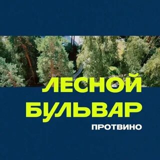 Протвино лесная