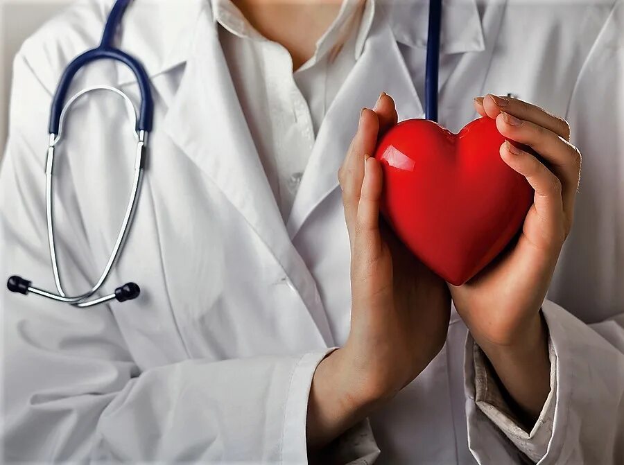 Сердце человека и доктор. Врач с сердцем. Сердце кардиология. Медсестра с сердцем. Сердце в руках врача.