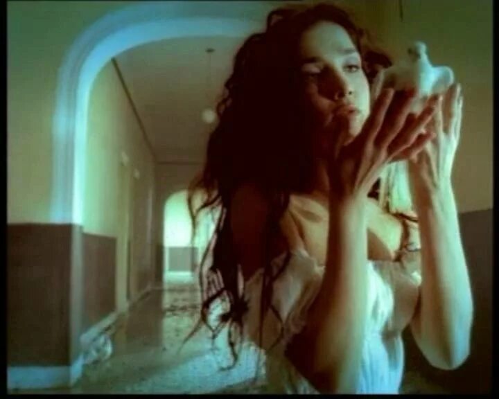 Орейро песни из дикий. Дикий ангел cambio dolor. Орейро песни из дикий. Орейро дикий ангел. Орейро песни из дикий.