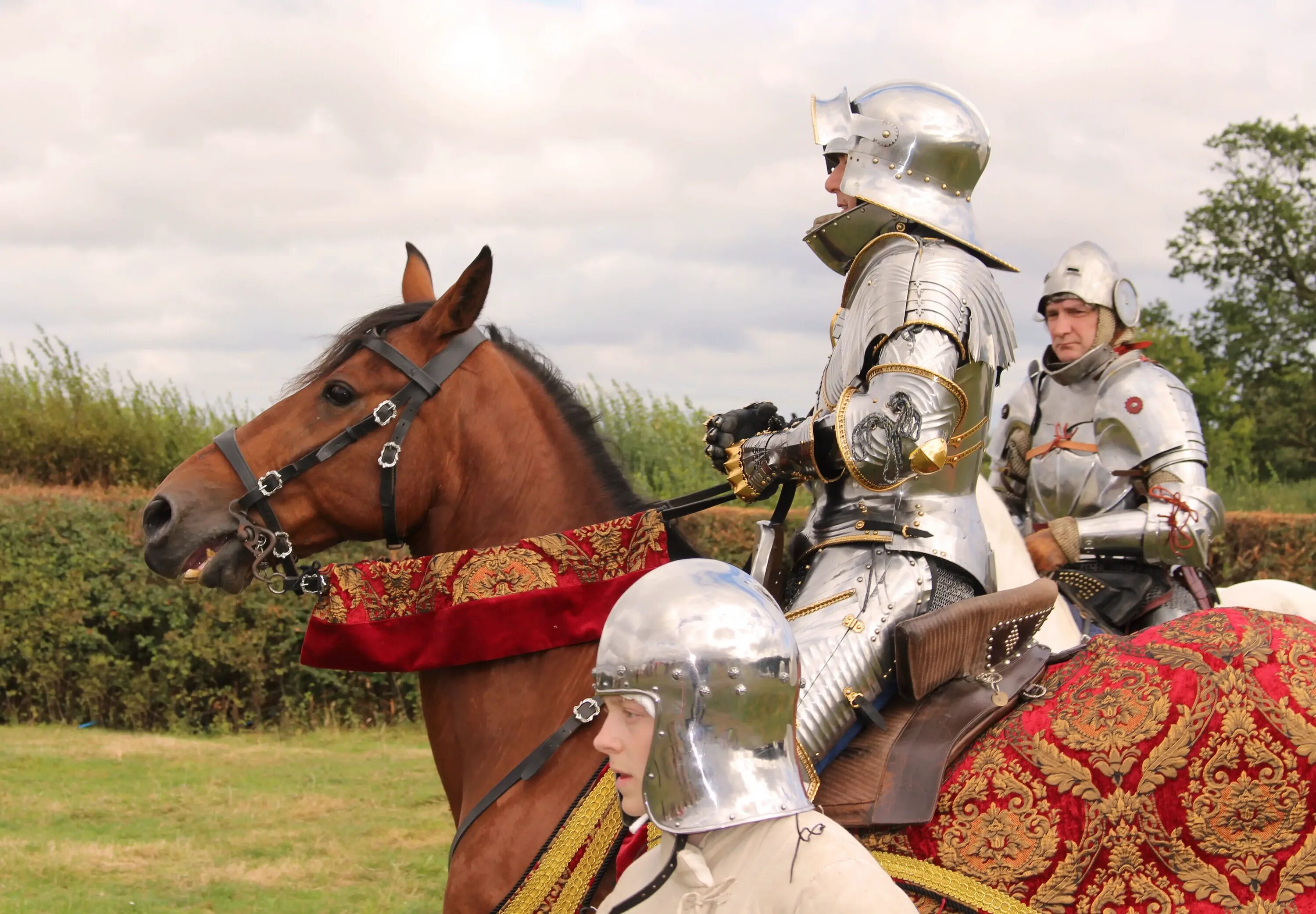 Битва при босворте. Босворт битва. henry vii bosworth. сражение при босворте. the battle of bosworth 2016.