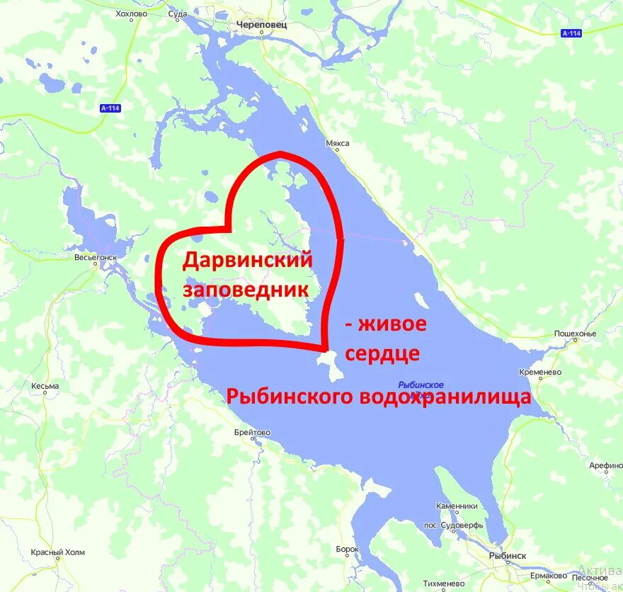 Выход на рыбинское водохранилище. Дарвинский заповедник Рыбинское водохранилище границы. Дарвиновский заповедник на Рыбинском водохранилище границы. Дарвиновский заповедник на Рыбинском водохранилище. Дарвиновский заповедник Рыбинское водохранилище "границы".